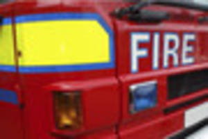 Wedged dog freed with crash rescue gear near Looe